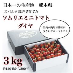 【極み】塩トマトのようなフルーツトマト　ソムリエミニトマト　ダイヤ３kg（１２０玉～２００玉）
