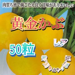 味こがね