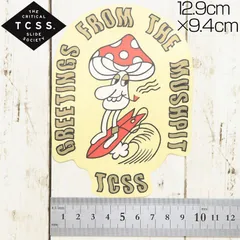 [クリックポスト対応] TCSS ティーシーエスエス STICKER ステッカー The Critical Slide Society ASTICK17のサムネイル
