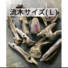 南信州産 天然流木 いろいろ流木 【アソート１０個セット】【サイズ Ｌ】 格安まとめ売り淡水流木 川流木 根流木 平流木  変形流木