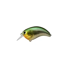 イヴォーク2.0＋UVライトセット イヴォーク2.0＋UVライトセット