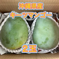 2025年最新】キーツマンゴーの人気アイテム - メルカリ