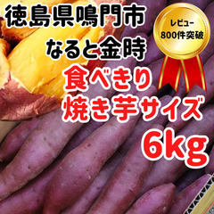 なると金時さつまいも 焼き芋サイズ【6kg】 徳島県鳴門市里浦産 生産者直送