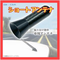 B053　ショートアンテナ 車 3.5cm ラジオ ミニ 工具不要 取付簡単