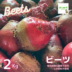 ビーツ　☆農薬や化学肥料は使用しておりません　埼玉県産　サイズ混合約２kg（箱込み）　※葉はついておりません