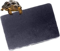 Item thumbnail for item c7c42b60-37e1-4e87-bd1d-1b7efcd4d039