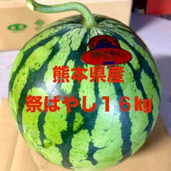 【産地直送・大玉すいか赤果肉・６／１０以降発送可】熊本県産大玉スイカ　祭ばやし　１６ｋｇ　１玉　正規品　秀品