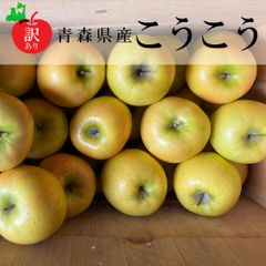 【新物訳あり】青森県産りんご（こうこう）約4～5Kg（10玉～12玉）
