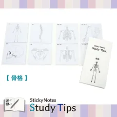 付箋 【骨格】Sticky Note Study Tips 骨格 身体の作り 理科 生物 医学 解剖生理学 受験 勉強 頭蓋骨 脊柱 骨盤 胸郭 上肢 下肢 医学生 病院 看護 臓器看護 受験 学習