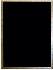 【新品・4営業日で発送】ジャパンアート ショーボックス 920×660mm ゴールド BX-D66