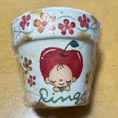 多肉植物　ピンクルルビー　抜き苗 多肉植物 ピンクルルビー抜き苗 ピンクル ルビー