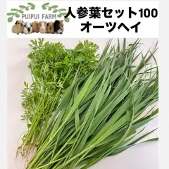 2025年最新】人参葉っぱの人気アイテム - メルカリ