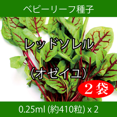 ベビーリーフ種子 B-50 レッドソレル（オゼイユ） 0.25ml x 2袋