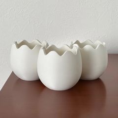 3Dプリンター鉢　2号鉢　3個セット　多肉植物　卵形　ホワイト