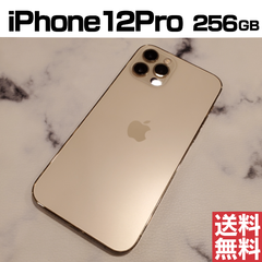 [No.M386] iPhone12Pro 256GB【バッテリー100％】