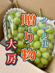 クール便 山梨県産 ぶどう 種無し 藤稔2房 贈り物 お盆手土産