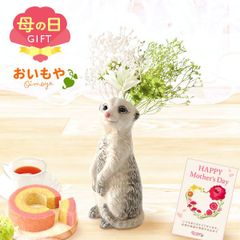 【おいもや公式】母の日限定 かわいい 動物 一輪挿し【ミーアキャット】ドライブーケ ドライフラワー 苺バウム 紅茶 おしゃれ 可愛い スイーツ お菓子 和菓子 インテリア 雑貨 造花 ミニ (お届け時期:5/5～11のいずれか)