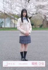 【中古】生写真(坂道シリーズ) 櫻坂46/稲熊ひな/全身/櫻坂46ランダム生写真【四期生お披露目制服】