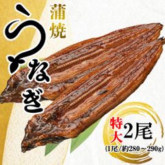 うなぎ蒲焼 鰻蒲焼 2尾 送料無料 特大サイズ 蒲焼 冷凍 土用の丑の日 うなぎ ウナギ 鰻 中国産 お中元 食品 贈答品 shr-021