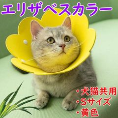 Item thumbnail for item 4a71ba38-188a-48f3-b2f5-761f4c2c142f