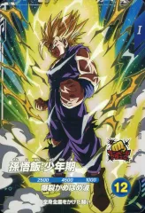 ドラゴンボール 孫悟飯:少年期 GDR★ 証明書付き ARS 10+ SDV5 512i10ndCnL._AC_UL210_SR210,