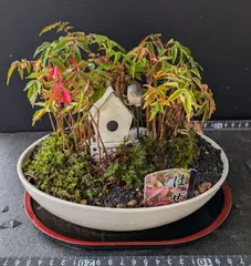 盆栽 『ハゼ』 紅葉 インテリア 観葉植物 ガーデニング 送料無料 162 インテリアグリーン高級模造迎客紅葉盆栽 置物 禅意迎客松盆栽