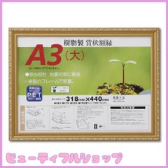 【特価】大仙 額縁 賞状額 金消 R A3大 樹脂製 シュリンクパック J045B3400