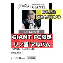 Stray Kids スキズ シーグリ2024 ポラロイド ポラ 8枚 コンプ