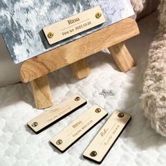 Item thumbnail for item 0c8fe69d-1453-4a67-b8c5-99ad1364ad43