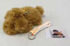 【中古】雑貨 白濱亜嵐プロデュース 空飛ぶ!レックスパスケース 「EXILE 20th ANNIVAERSARY EXILE LIVE TOUR 2021 ”RED PHOENIX”」