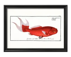 2023年最新】金魚 絵画の人気アイテム - メルカリ