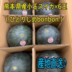産地直送　熊本県産　小玉スイカ×6玉　ひとりじめbonbon　秀品
