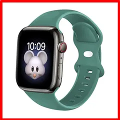 【おすすめ】カクタス_38mm/40mm/41mm M/L [Na-na sun] Apple Watch バンド 44mm コンパチブル アップルウォッチバン