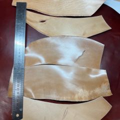 Item thumbnail for item 3c4fbf0e-a6ff-47bf-b08f-194442d9e99d