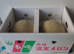 長崎県産 アールスメロン４Ｌ 2玉とても甘くて美味しい💕