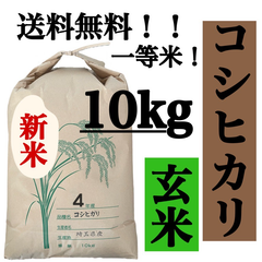 玄米　10kg コシヒカリ　新米　埼玉県産　令和4年産　送料無料　米　10キロ