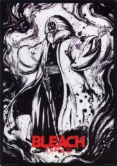 FIG]涅マユリ(くろつちまゆり) BLEACH(ブリーチ) SOLID AND