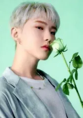 【中古】コレクションカード(男性) 005：SEVENTEEN/HOSHI(ホシ)/「SEVENTEEN 2022 JAPAN FANMEETING ’HANABI’」トレーディングカード