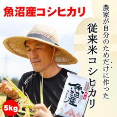 令和6年新米/魚沼産コシヒカリ（従来米）5kg