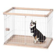 Item thumbnail for item 8f5a05c3-6582-4e4e-b943-74edd01aa61a