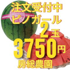 ①３７５０円・２玉・注文受付中・第３弾・ピノガール「小玉スイカランキング第１位」