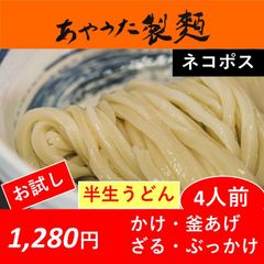 【お試し】【ネコポス】【常温】【さぬきうどん】【讃岐うどん】【あやうた製麺】半生うどん4人前（つゆ付）