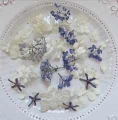 花材✿︎ドライアナベル&紫陽花のセット