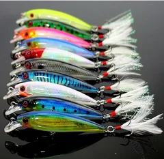 ENDOH MINNOW WB 9 FR サンゴワカ-