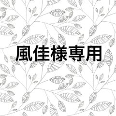 専用ページ