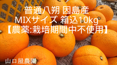 ☆オススメ☆ 普通八朔　因島産　箱込10kg　MIXサイズ【農薬：栽培期間中不使用】防腐剤無　農家直送　訳あり