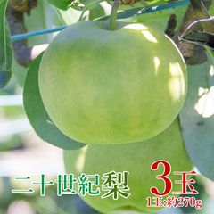 【9月初旬より順次発送】 【 二十世紀梨 3玉 】 送料無料 鳥取県産 二十世紀梨 20世紀梨 1玉 約 300g 3玉入り 二十世紀ナシ 鳥取 ご家庭用 鳥取 鳥取県 梨 20世紀梨 なし ナシ 秀品 ご自宅用 果物 くだもの フルーツ ギフト 暑中見舞い