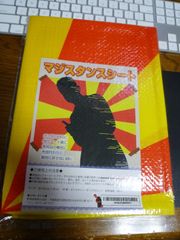 マジスタンス　レジャーシート　マケドニア柄　120ｘ90　ふたば