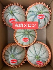 あーさんのプリンスメロン 4キロ超 - メルカリ