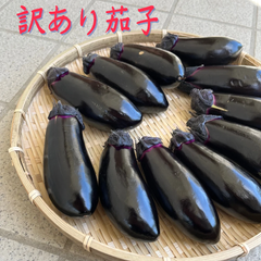 訳あり茄子　1キロ　60サイズ